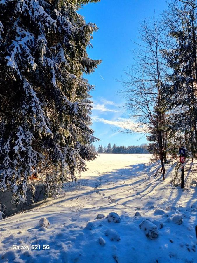 Ferienhaeuser Olbernhau Erzgebirge ภายนอก รูปภาพ