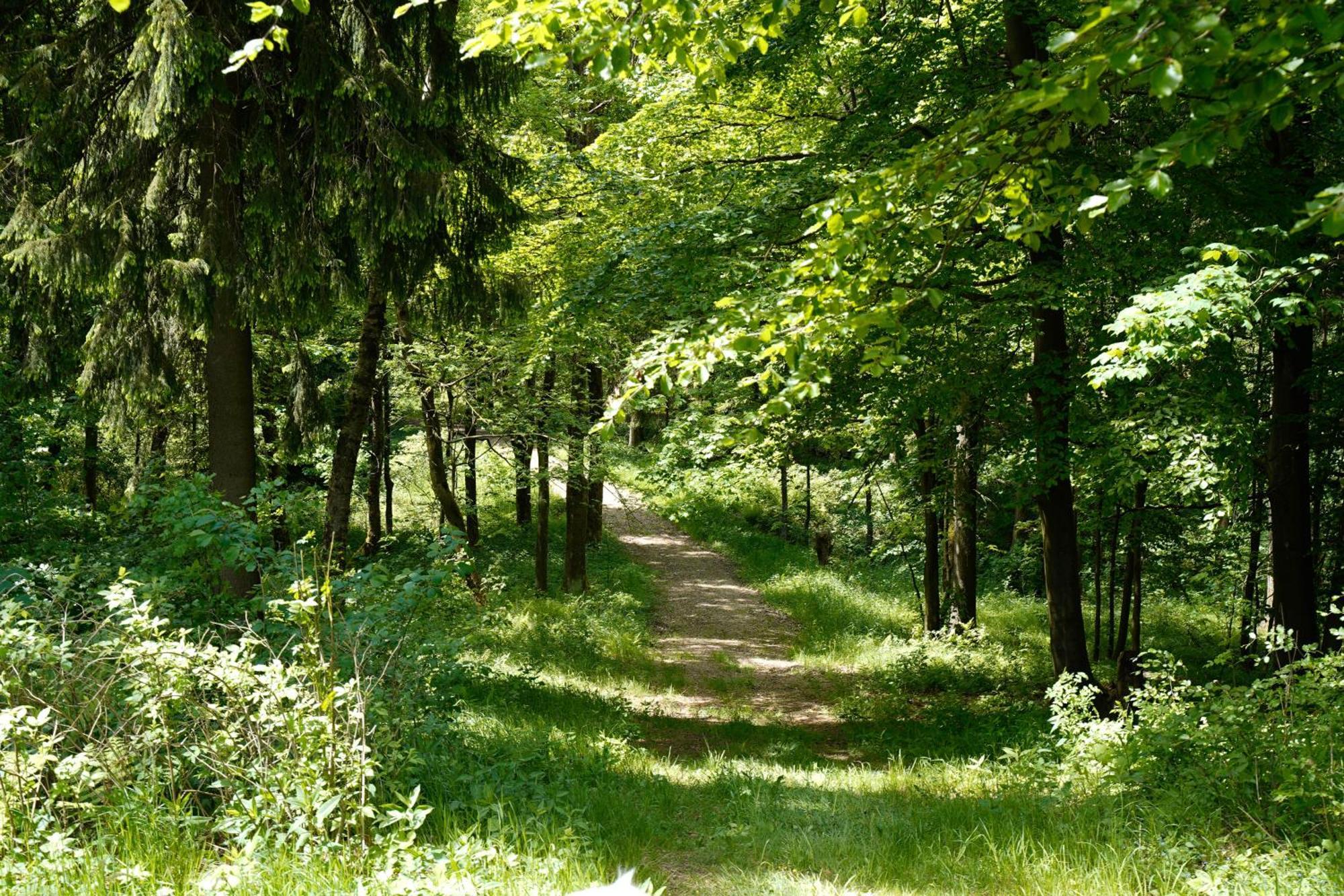 Ferienhaeuser Olbernhau Erzgebirge ภายนอก รูปภาพ
